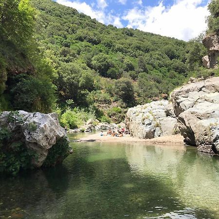 New! La Ginestra,Casa Vacanze Bifamiliare In Montagna-Seulo Sardegna Dış mekan fotoğraf