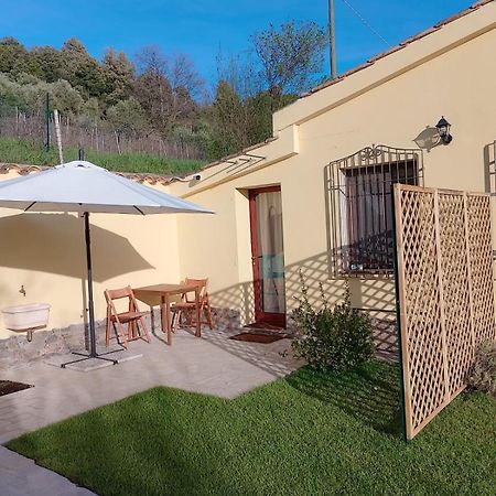New! La Ginestra,Casa Vacanze Bifamiliare In Montagna-Seulo Sardegna Dış mekan fotoğraf