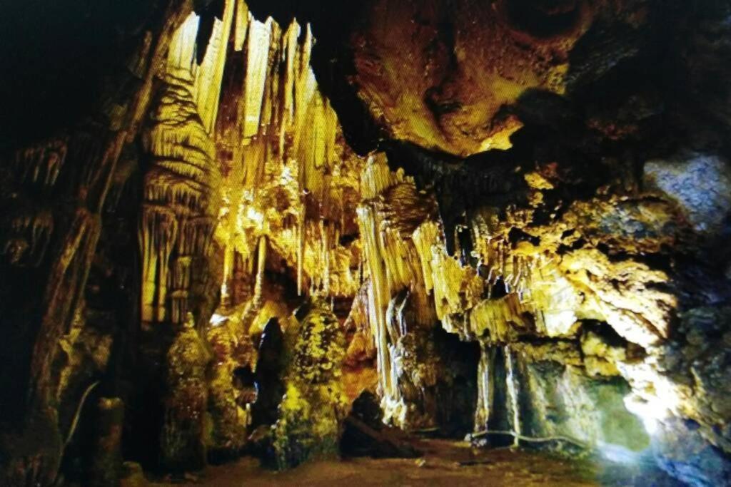 New! La Ginestra,Casa Vacanze Bifamiliare In Montagna-Seulo Sardegna Dış mekan fotoğraf