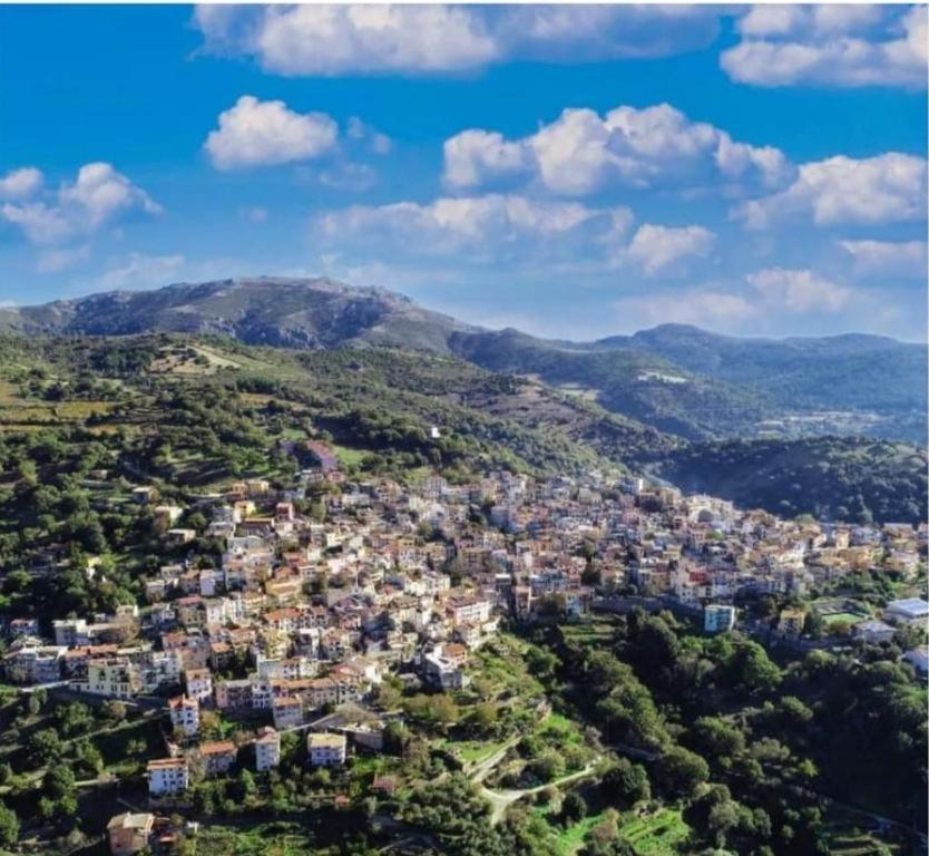 New! La Ginestra,Casa Vacanze Bifamiliare In Montagna-Seulo Sardegna Dış mekan fotoğraf