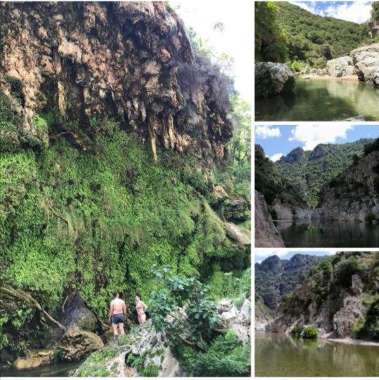 New! La Ginestra,Casa Vacanze Bifamiliare In Montagna-Seulo Sardegna Dış mekan fotoğraf