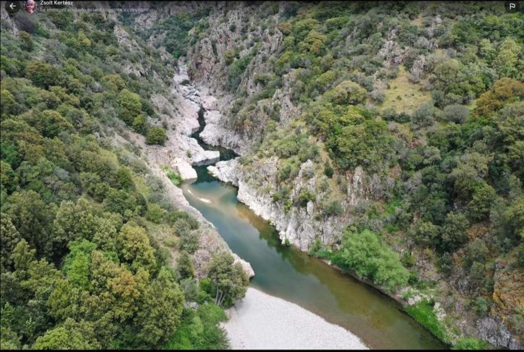 New! La Ginestra,Casa Vacanze Bifamiliare In Montagna-Seulo Sardegna Dış mekan fotoğraf