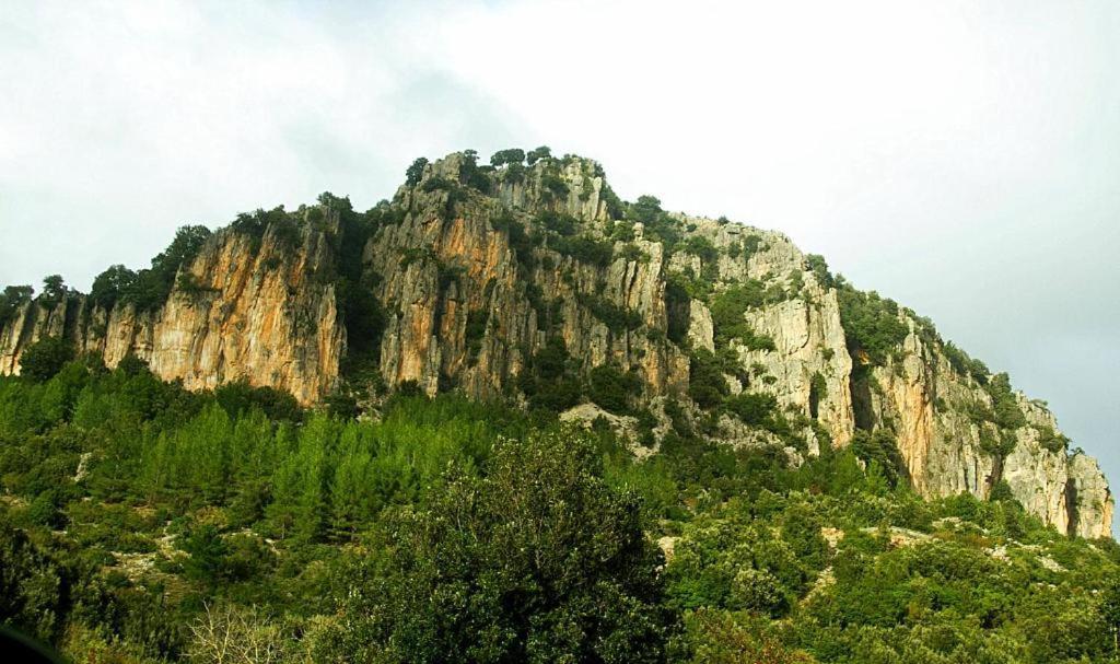 New! La Ginestra,Casa Vacanze Bifamiliare In Montagna-Seulo Sardegna Dış mekan fotoğraf