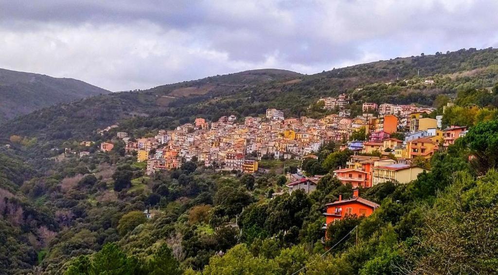 New! La Ginestra,Casa Vacanze Bifamiliare In Montagna-Seulo Sardegna Dış mekan fotoğraf