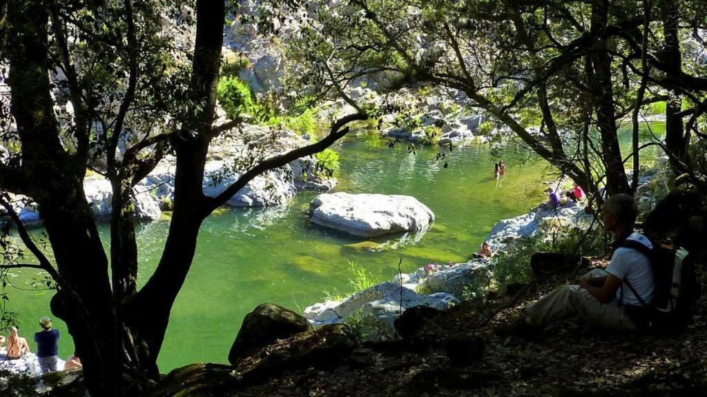 New! La Ginestra,Casa Vacanze Bifamiliare In Montagna-Seulo Sardegna Dış mekan fotoğraf