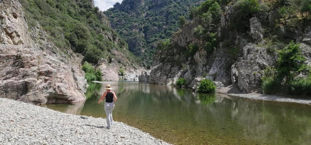 New! La Ginestra,Casa Vacanze Bifamiliare In Montagna-Seulo Sardegna Dış mekan fotoğraf