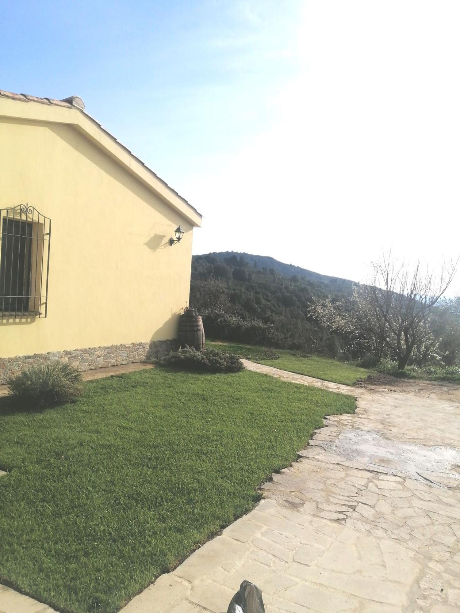New! La Ginestra,Casa Vacanze Bifamiliare In Montagna-Seulo Sardegna Dış mekan fotoğraf
