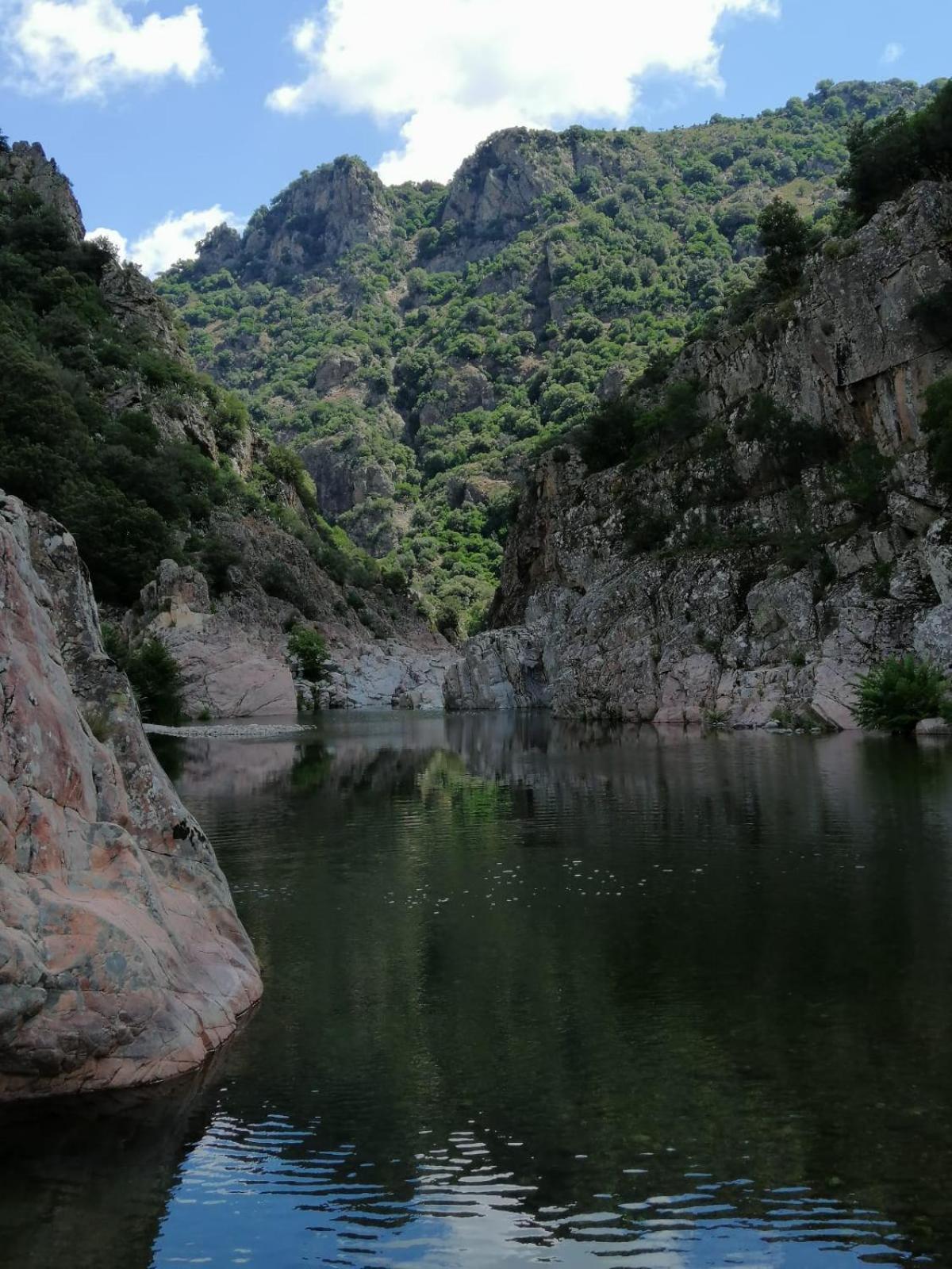 New! La Ginestra,Casa Vacanze Bifamiliare In Montagna-Seulo Sardegna Dış mekan fotoğraf