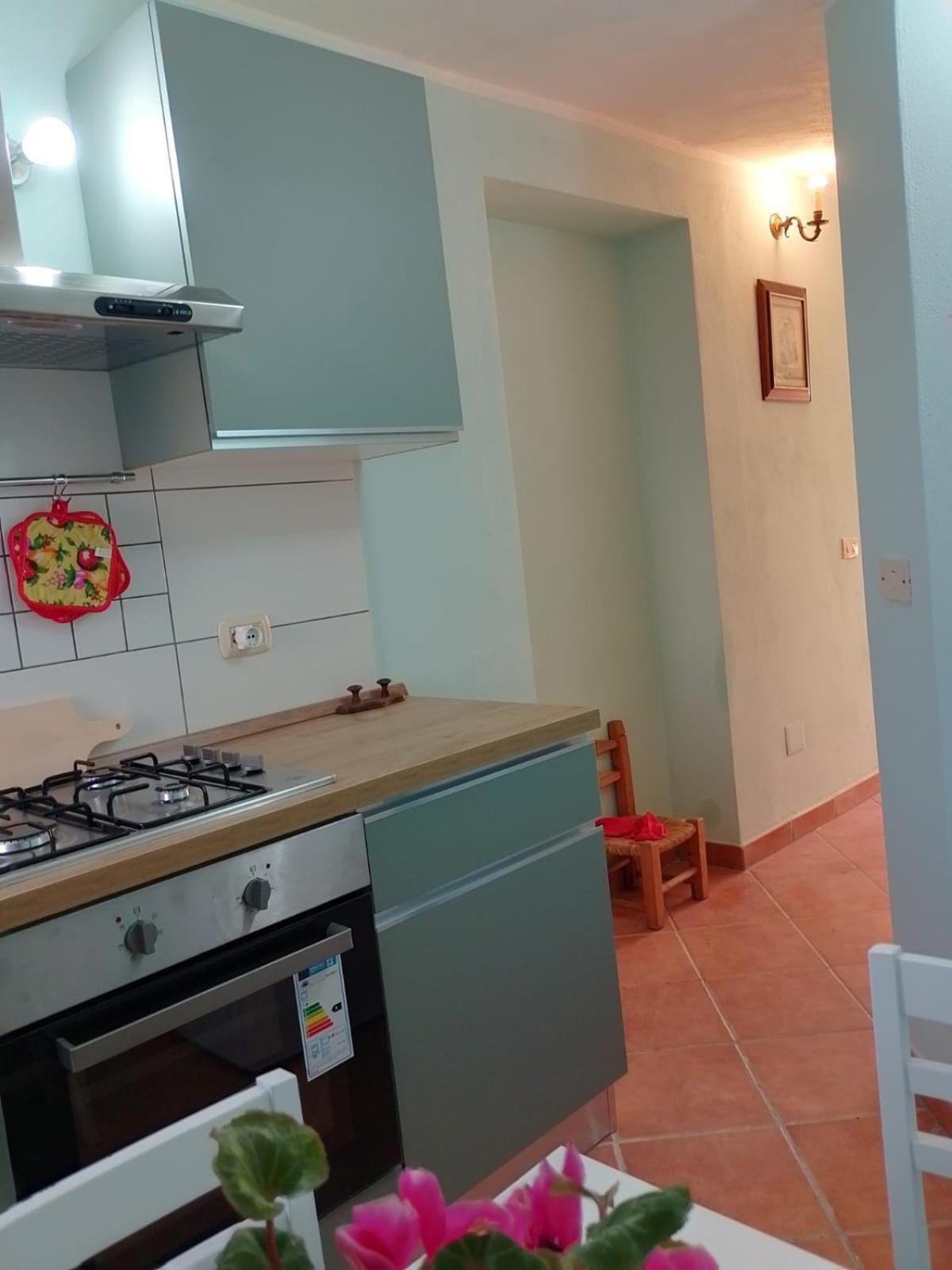 New! La Ginestra,Casa Vacanze Bifamiliare In Montagna-Seulo Sardegna Dış mekan fotoğraf